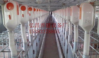 【弘昌养猪设备厂供应猪用自动料线料线的安装和设计】- 中国农机网